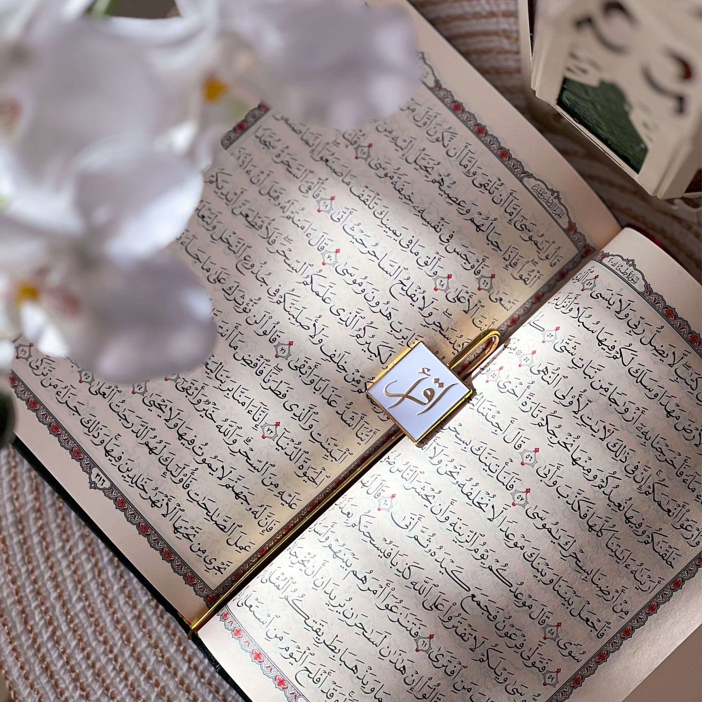 بوكس تهادوا تحابوا